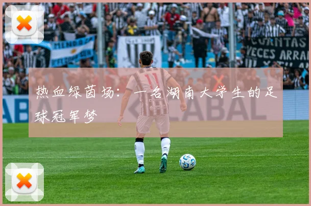 热血绿茵场：一名湖南大学生的足球冠军梦