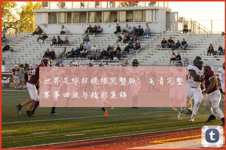 世界足球杯视频完整版：高清完整赛事回放与精彩集锦