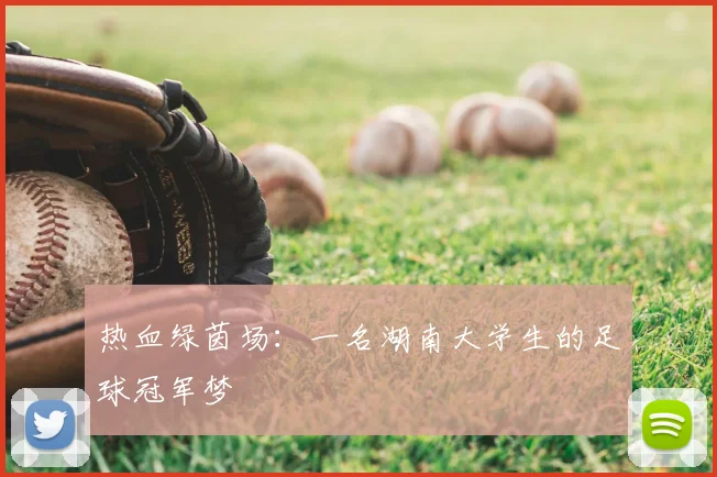 热血绿茵场:一名湖南大学生的足球冠军梦