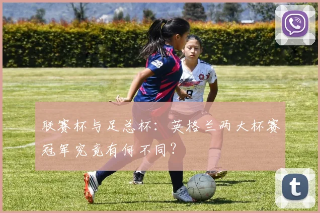 联赛杯与足总杯:英格兰两大杯赛冠军究竟有何不同?
