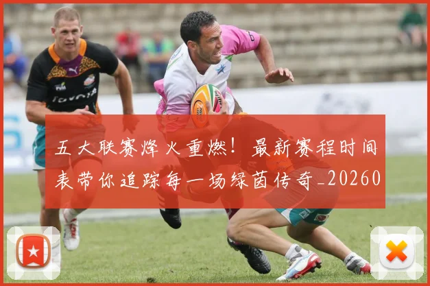 五大联赛烽火重燃!最新赛程时间表带你追踪每一场绿茵传奇_20260611141748